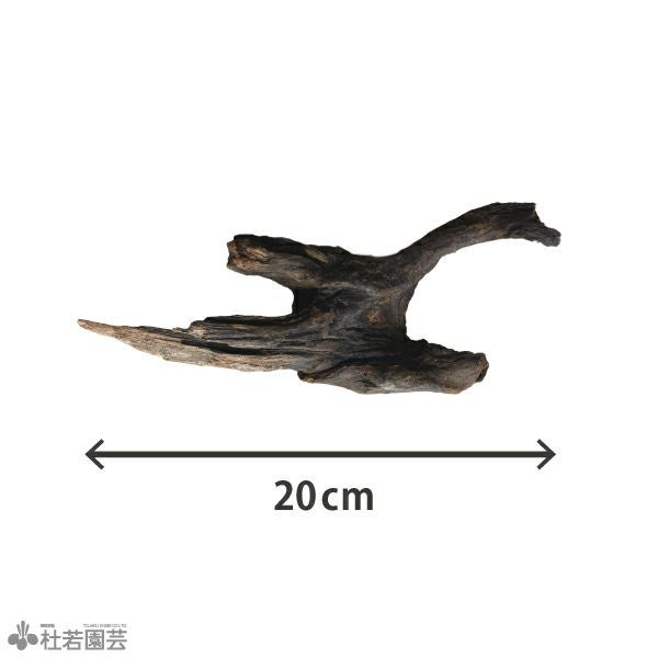 ナチュラルホーンウッド-76 | 杜若園芸WEBショップ｜水草の生産販売