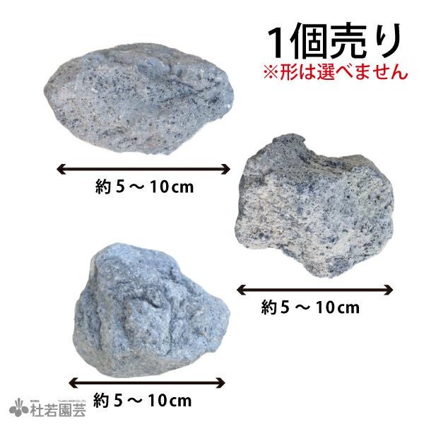 溶岩石（黒） | 杜若園芸WEBショップ｜水草の生産販売【通販ショップ】