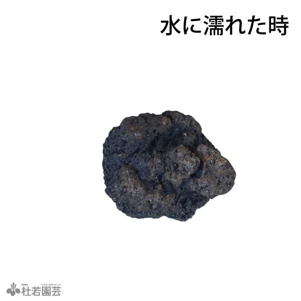 溶岩石（黒） | 杜若園芸WEBショップ｜水草の生産販売【通販ショップ】