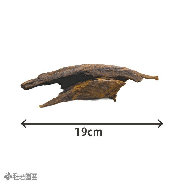 ナチュラルホーンウッド-144 | 杜若園芸WEBショップ｜水草の生産販売