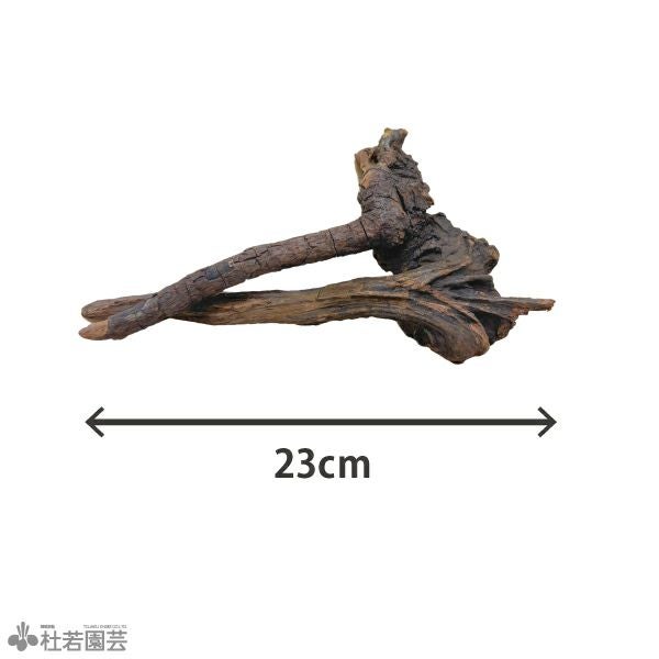 ナチュラルホーンウッド-76 | 杜若園芸WEBショップ｜水草の生産販売
