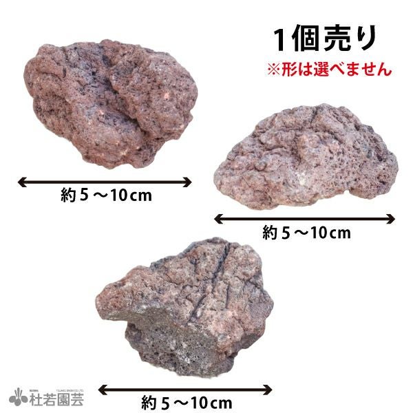 溶岩石（茶） | 杜若園芸WEBショップ｜水草の生産販売【通販ショップ】