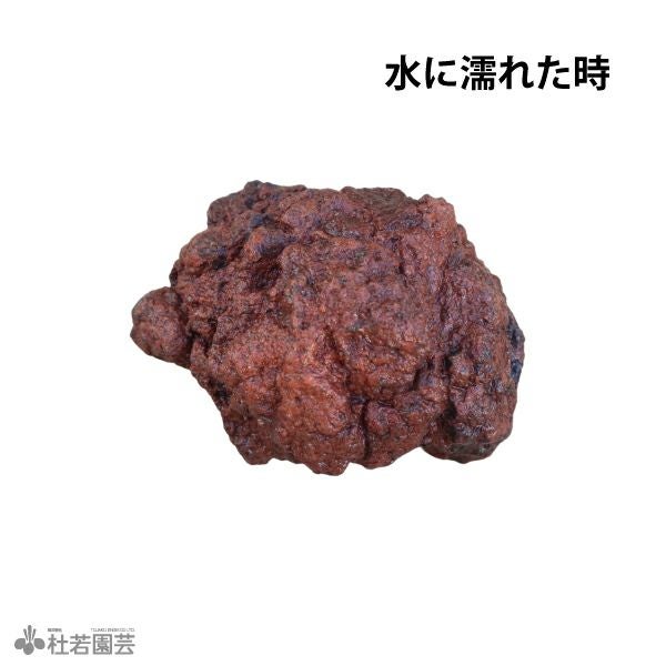 溶岩石（茶） | 杜若園芸WEBショップ｜水草の生産販売【通販ショップ】