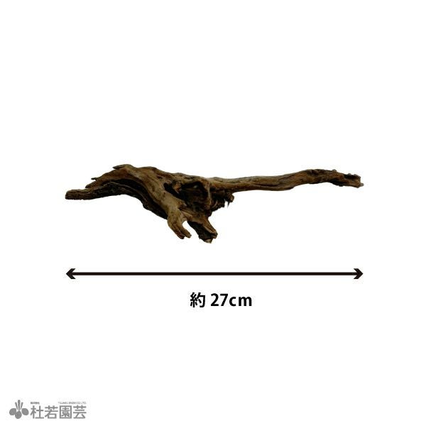 流木 | 杜若園芸WEBショップ｜水草の生産販売【通販ショップ】