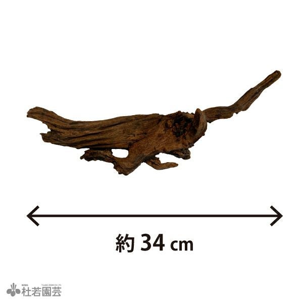 ナチュラルホーンウッド-76 | 杜若園芸WEBショップ｜水草の生産販売