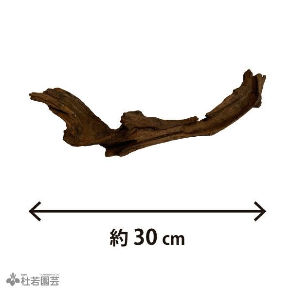 ナチュラルホーンウッド-76 | 杜若園芸WEBショップ｜水草の生産販売