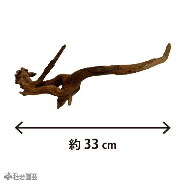 ✴︎天然素材の流木✴︎ インテリアや水槽　ホーンウッド置物に　アクアリウム　水草 お楽しみナチュラルホーンウッドx3セット | 杜若園芸WEBショップ