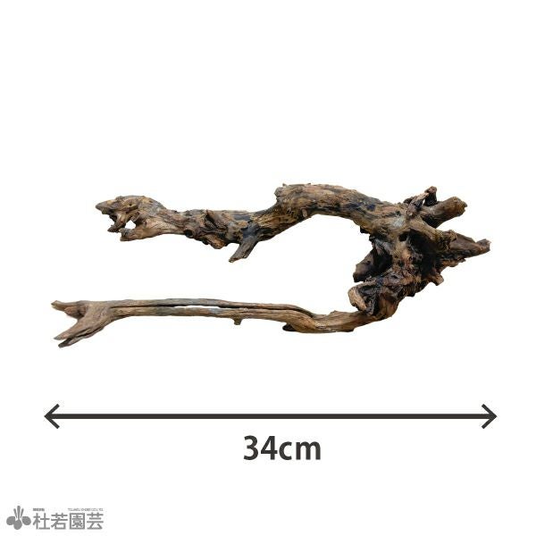 ナチュラルホーンウッド-148 | 杜若園芸WEBショップ｜水草の生産販売