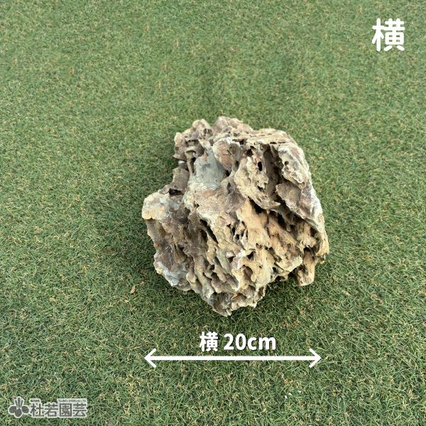 気孔石-1 | 杜若園芸WEBショップ｜水草の生産販売【通販ショップ】