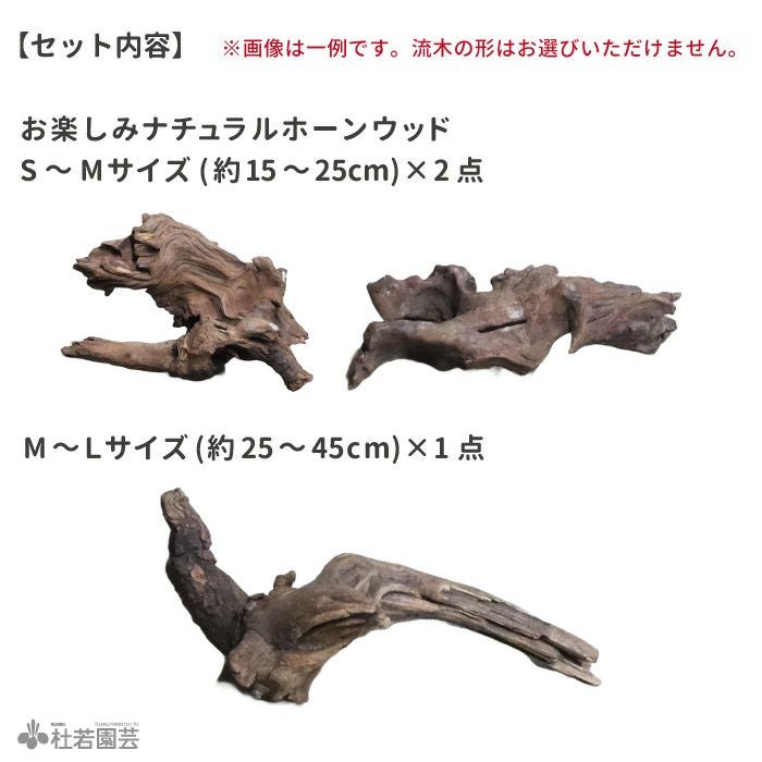 【希少】パルダリウム・ガーデニング向け 特大風化塊根ホーンウッド流木 約60cm 楽天市場】ホーンウッドの通販