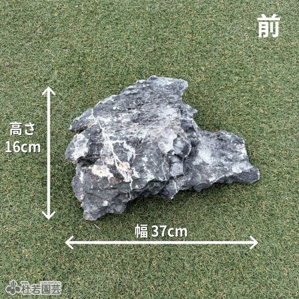 一点物(流木・飾り石) | 杜若園芸WEBショップ｜水草の生産販売【通販