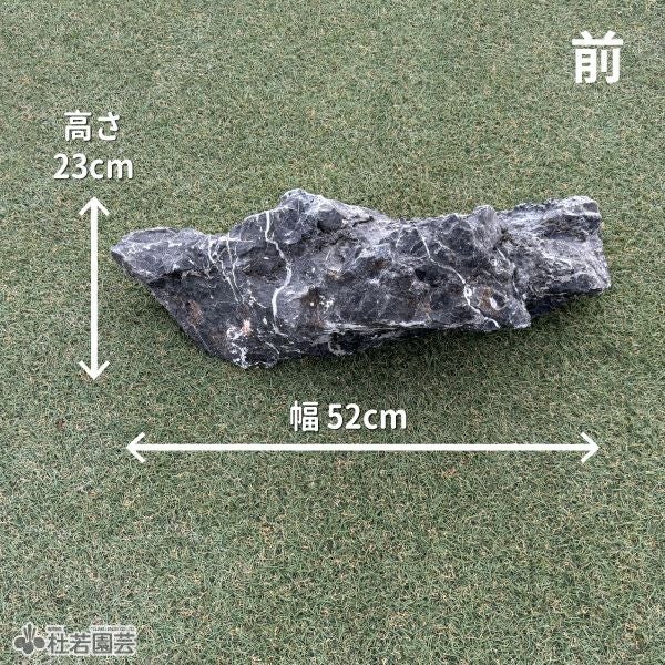青龍石-9 | 杜若園芸WEBショップ｜水草の生産販売【通販ショップ】