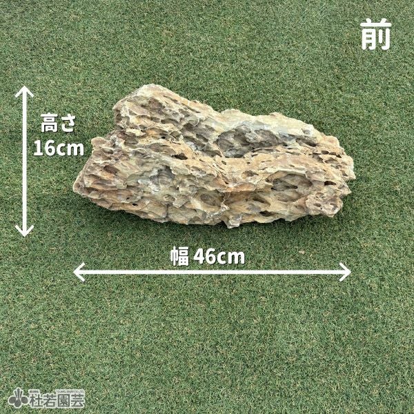 気孔石-2 | 杜若園芸WEBショップ｜水草の生産販売【通販ショップ】