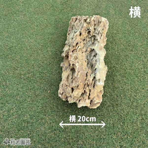 気孔石-2 | 杜若園芸WEBショップ｜水草の生産販売【通販ショップ】