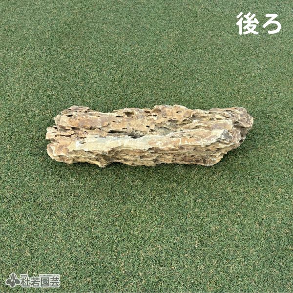 気孔石-2 | 杜若園芸WEBショップ｜水草の生産販売【通販ショップ】
