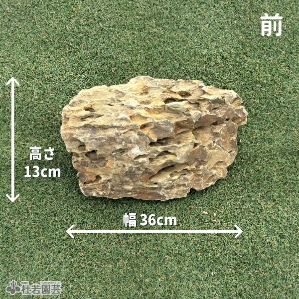 気孔石　約12kg 気孔石-1 | 杜若園芸WEBショップ｜水草の生産販売【通販ショップ】