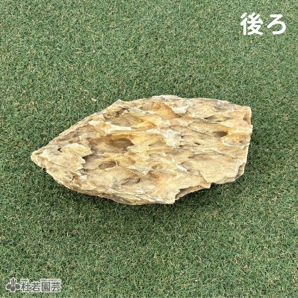 気孔石-3 | 杜若園芸WEBショップ｜水草の生産販売【通販ショップ】