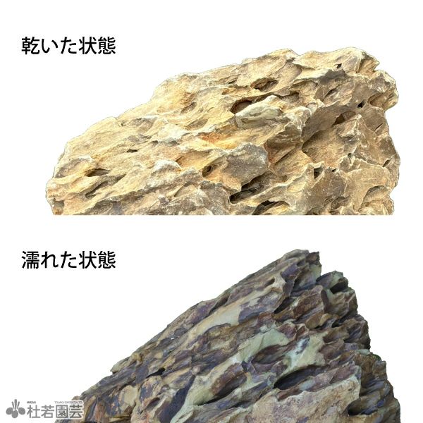 気孔石-3 | 杜若園芸WEBショップ｜水草の生産販売【通販ショップ】