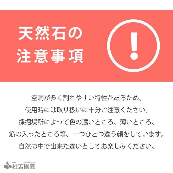 気孔石-3 | 杜若園芸WEBショップ｜水草の生産販売【通販ショップ】