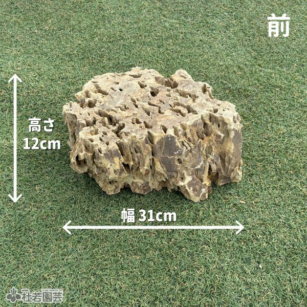 一点物(流木・飾り石) | 杜若園芸WEBショップ｜水草の生産販売【通販
