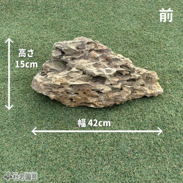 気孔石-5 | 杜若園芸WEBショップ｜水草の生産販売【通販ショップ】