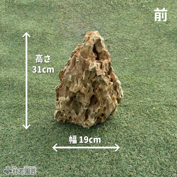 気孔石-6 | 杜若園芸WEBショップ｜水草の生産販売【通販ショップ】