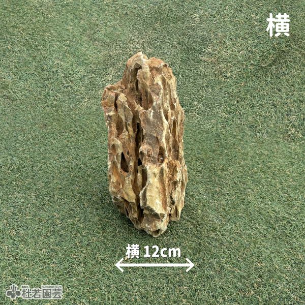 気孔石-6 | 杜若園芸WEBショップ｜水草の生産販売【通販ショップ】