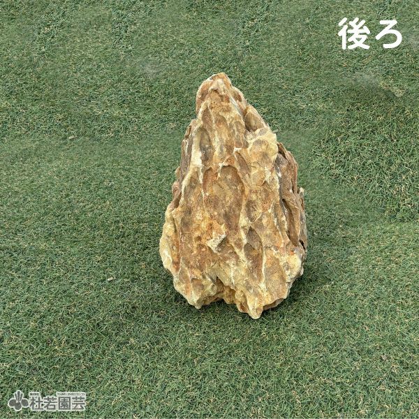 気孔石-6 | 杜若園芸WEBショップ｜水草の生産販売【通販ショップ】