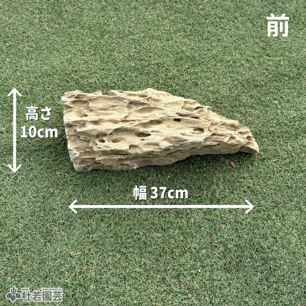 気孔石-8 | 杜若園芸WEBショップ｜水草の生産販売【通販ショップ】