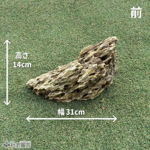 一点物　流木 3+α 一点物(流木・飾り石) | 杜若園芸WEBショップ｜水草の生産販売【通販