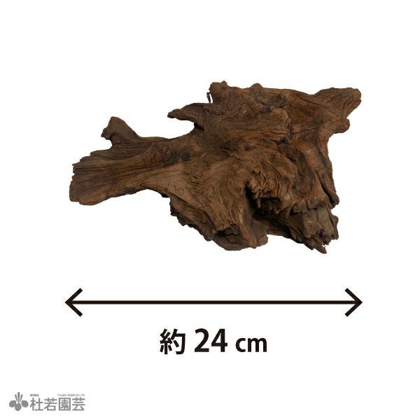 一点物(流木・飾り石) | 杜若園芸WEBショップ｜水草の生産販売【通販