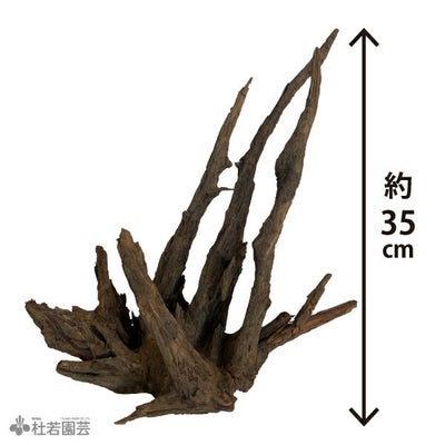 一点物(流木・飾り石) | 杜若園芸WEBショップ｜水草の生産販売【通販 