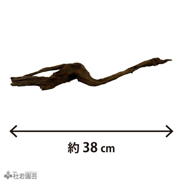 一点物(流木・飾り石) | 杜若園芸WEBショップ｜水草の生産販売【通販
