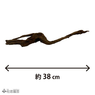 一点物(流木・飾り石) | 杜若園芸WEBショップ｜水草の生産販売【通販 