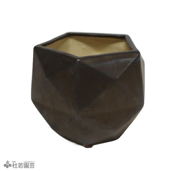 000000004279-02.jpg?size=m&w=