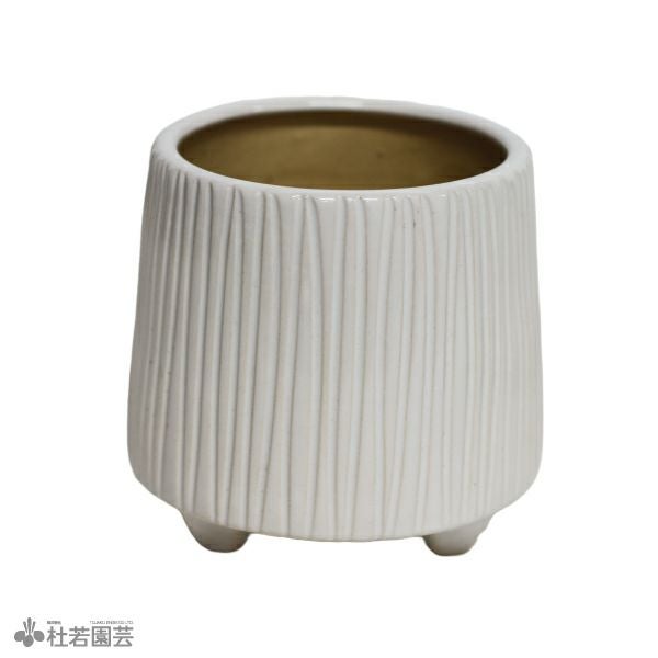 ⭐️多弁咲き⭐️5号鉢4品種４鉢①セット Price Gift｜古染絵変り 軽量多用鉢ペア｜西海陶器 | SAIKAI B-SHOP