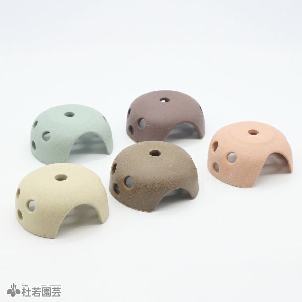 メダカの隠れ場所におすすめ！】メダカの憩いドーム | 杜若園芸WEB