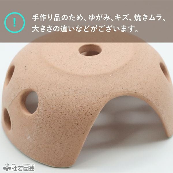 メダカの隠れ場所におすすめ！】メダカの憩いドーム | 杜若園芸WEB