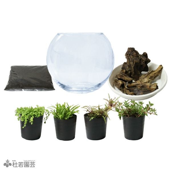 SAMURAI PLANTSで作るアクアリウムキット（ライト/スタンド無し