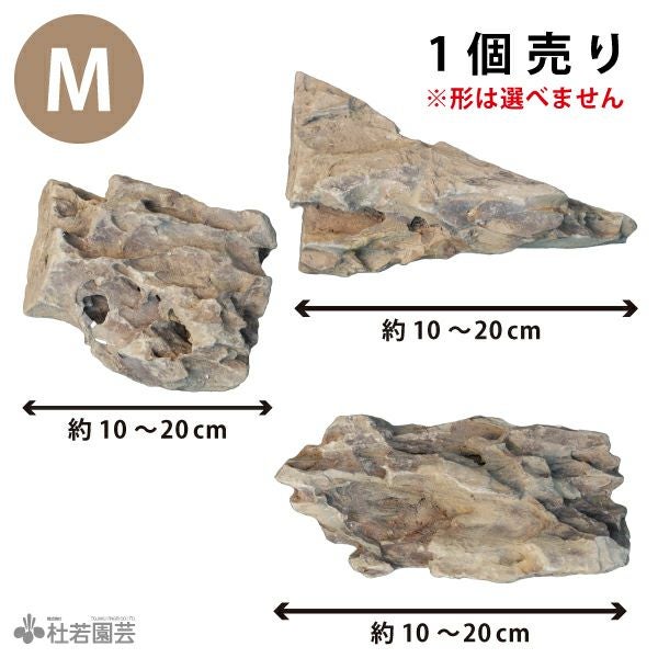 マングローブ系 流木 Sサイズ | 杜若園芸WEBショップ｜水草の生産販売