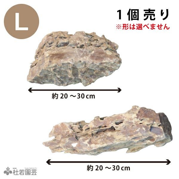 気孔石 Lサイズ | 杜若園芸WEBショップ｜水草の生産販売【通販ショップ】