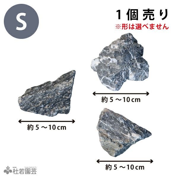 青龍石-7 | 杜若園芸WEBショップ｜水草の生産販売【通販ショップ】