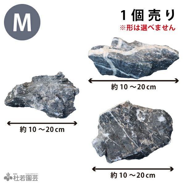青龍石 Mサイズ | 杜若園芸WEBショップ｜水草の生産販売【通販ショップ】