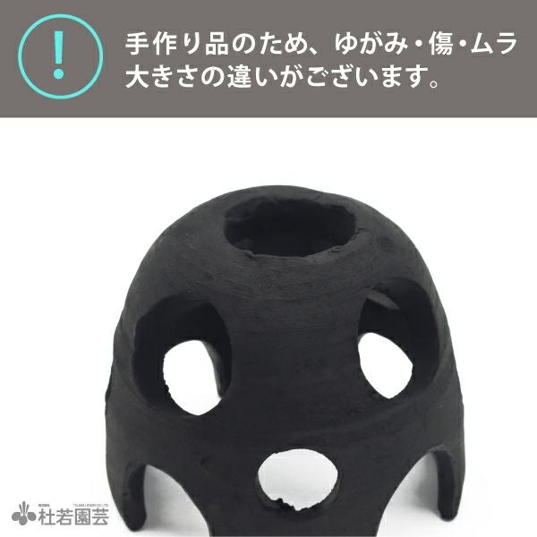 炭できれい】メダカの隠れ家 タートル | 杜若園芸WEBショップ｜水草の