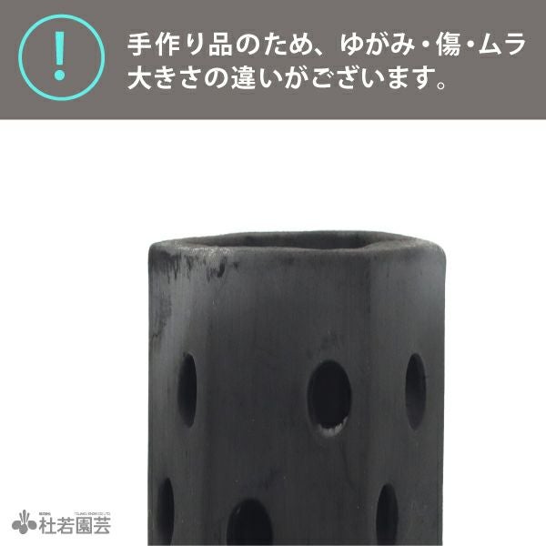 炭できれい】メダカの隠れ家 ハニカム大 | 杜若園芸WEBショップ｜水草