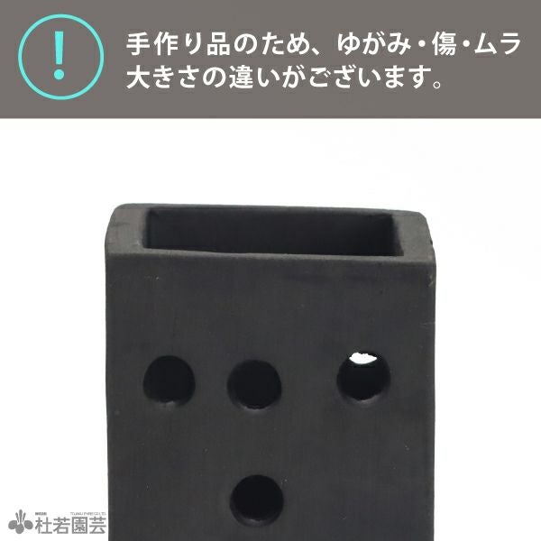 炭できれい】メダカの隠れ家 スクエア大 | 杜若園芸WEBショップ｜水草