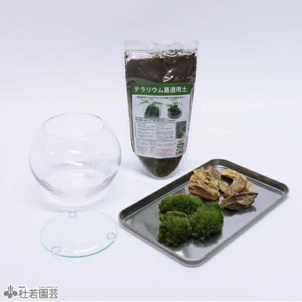 気孔石でつくる苔テラリウムキット | 杜若園芸WEBショップ｜水草の生産