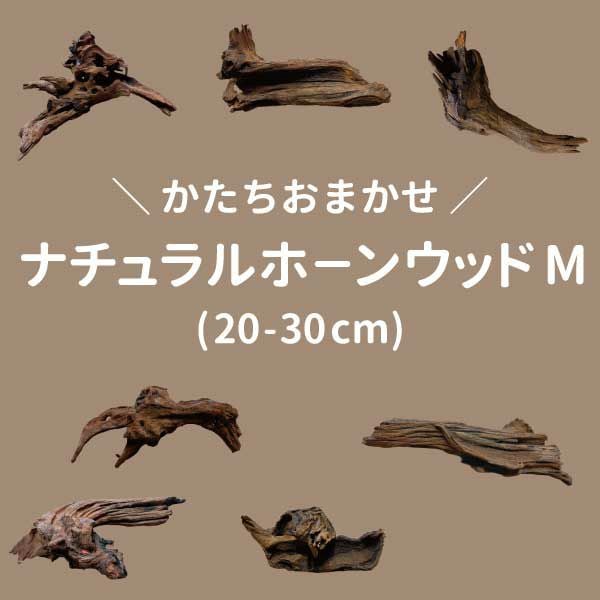 お楽しみナチュラルホーンウッドx3セット | 杜若園芸WEBショップ