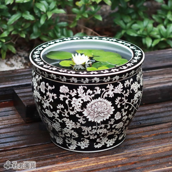 ◎お値下げしました‼️ ピータン 甕 壺 メダカ 陶器 植物鉢 金魚鉢 メダカ ビオトープ 金魚鉢 おしゃれ 陶器 メダカ鉢 和風 レトロ アンティーク ビオトープ