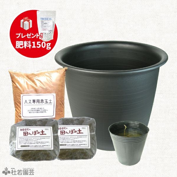 大型蓮・プラ鉢育成フルセット【肥料プレゼント】 | 杜若園芸WEB